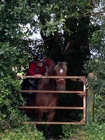 TREC CHAMPIONNAT DEPARTEMENTAL LISIEUX 2024