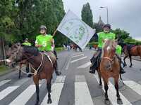 DEFILE FLAMME OLYMPIQUE LISIEUX